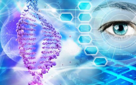 Fecondazione Assistita Puglia Genetica